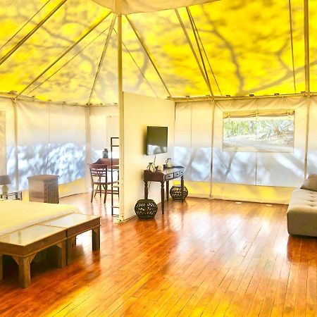 מלון San José Pinilla Hyla Nature Retreat מראה חיצוני תמונה