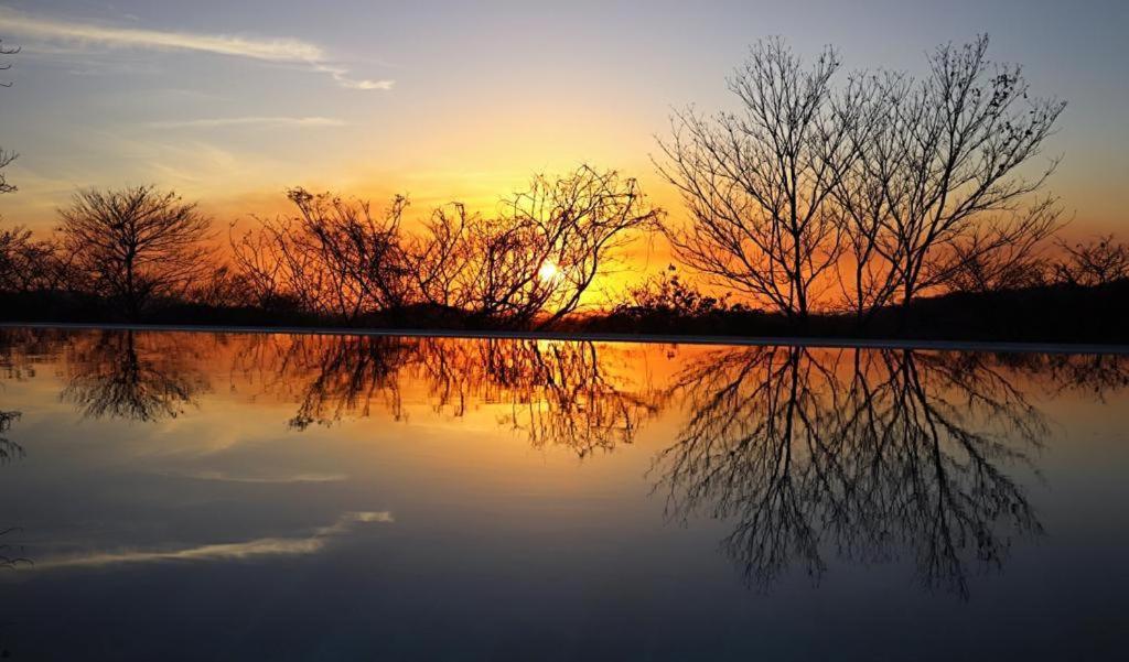 מלון San José Pinilla Hyla Nature Retreat מראה חיצוני תמונה