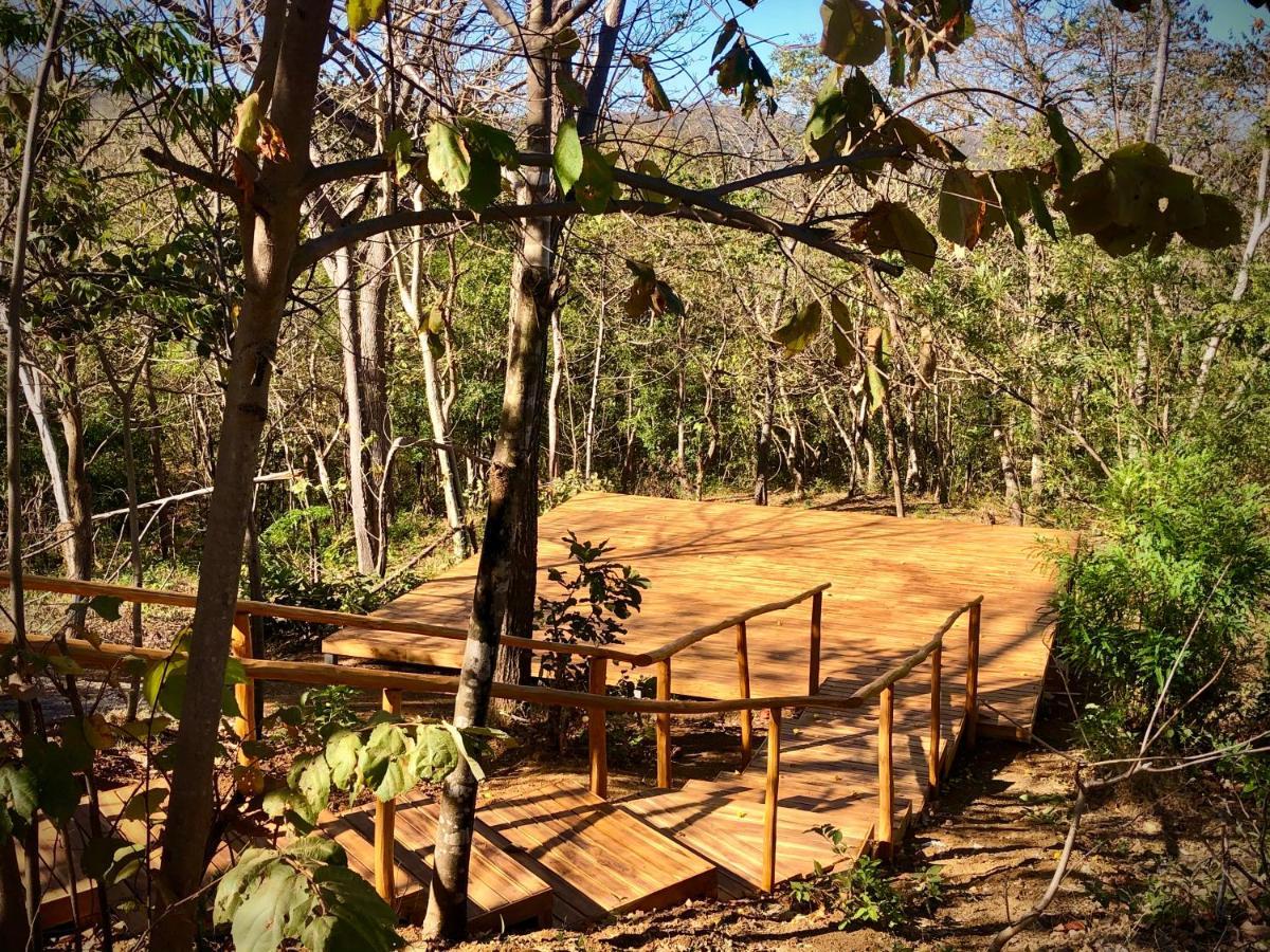 מלון San José Pinilla Hyla Nature Retreat מראה חיצוני תמונה