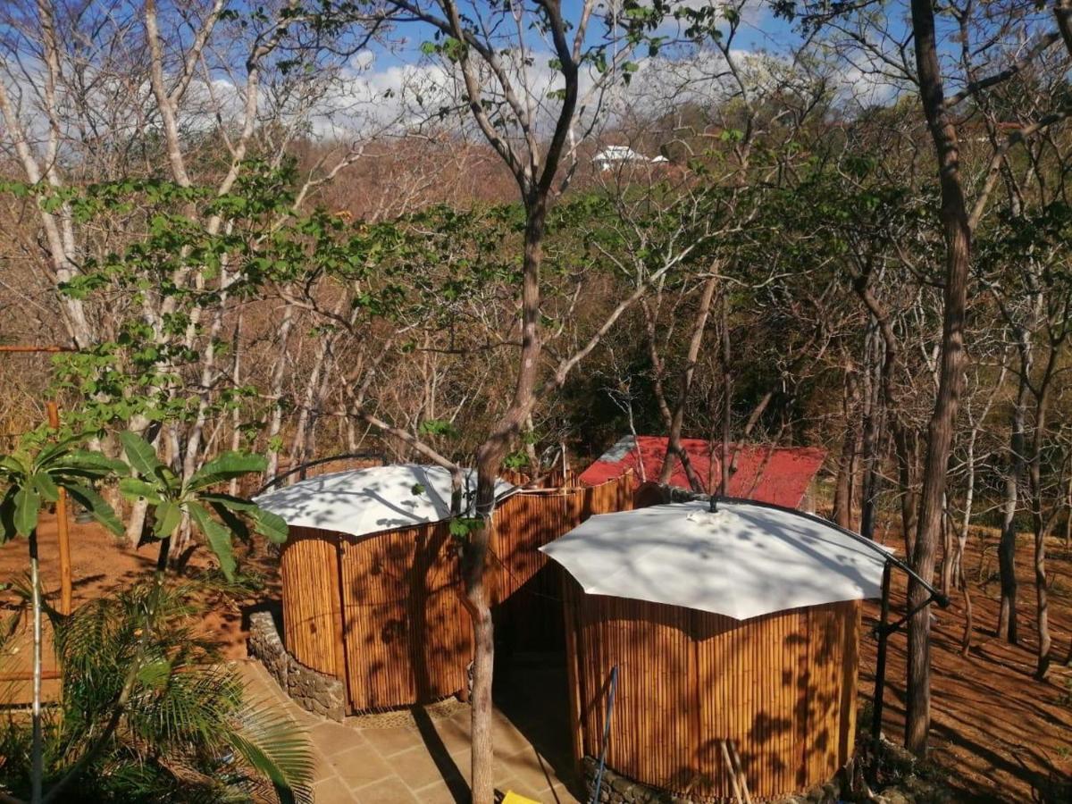 מלון San José Pinilla Hyla Nature Retreat מראה חיצוני תמונה