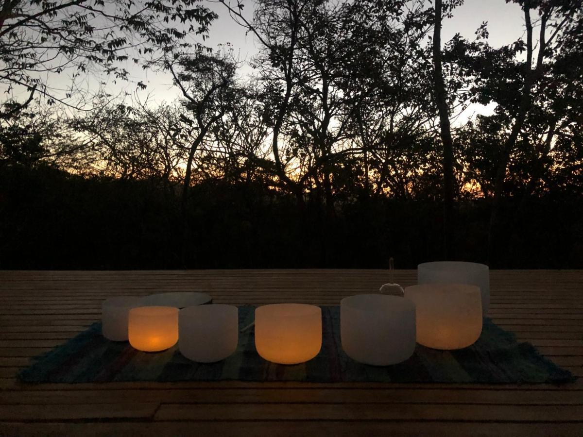 מלון San José Pinilla Hyla Nature Retreat מראה חיצוני תמונה