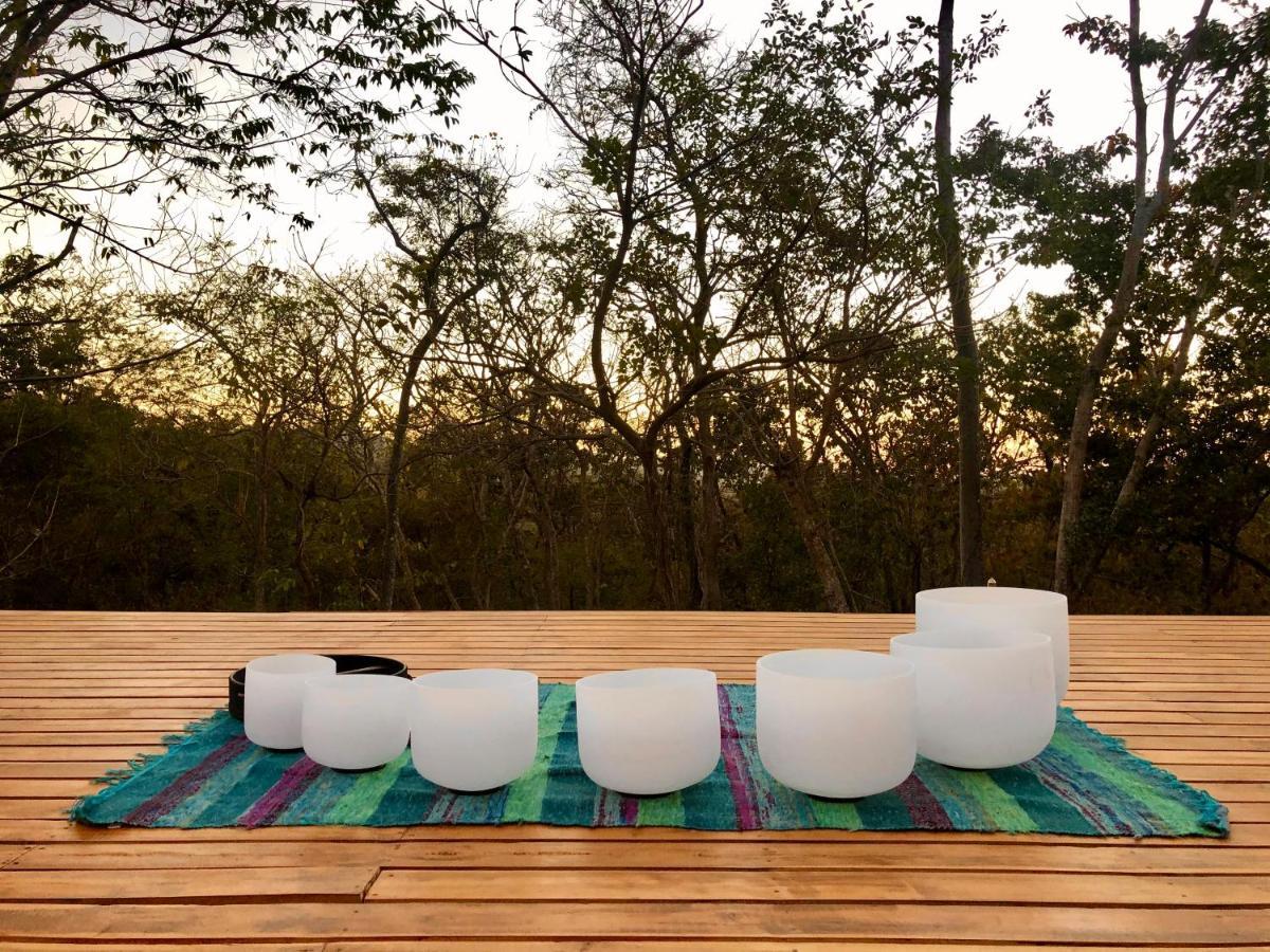 מלון San José Pinilla Hyla Nature Retreat מראה חיצוני תמונה