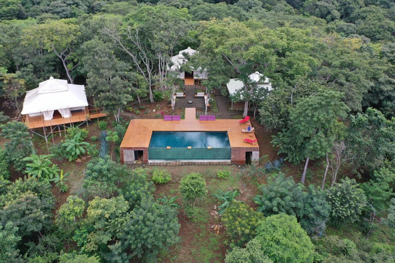 מלון San José Pinilla Hyla Nature Retreat מראה חיצוני תמונה