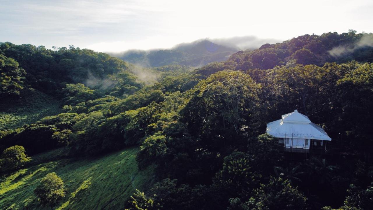 מלון San José Pinilla Hyla Nature Retreat מראה חיצוני תמונה
