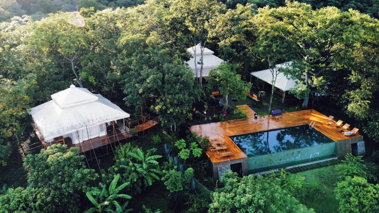 מלון San José Pinilla Hyla Nature Retreat מראה חיצוני תמונה