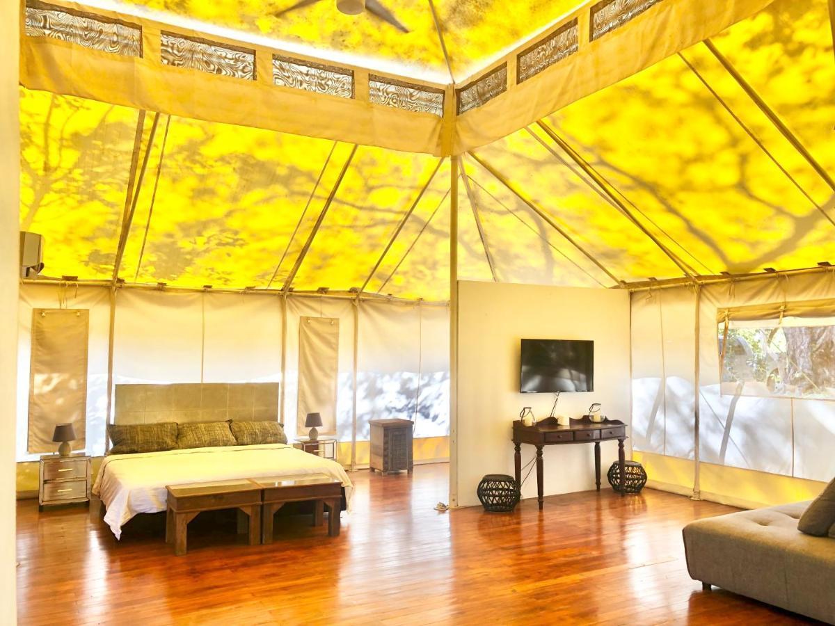 מלון San José Pinilla Hyla Nature Retreat מראה חיצוני תמונה