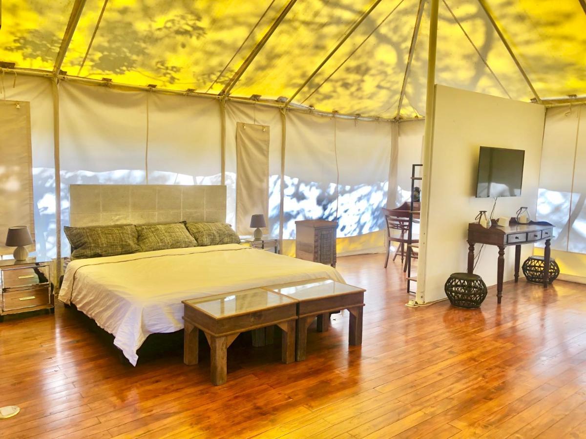 מלון San José Pinilla Hyla Nature Retreat מראה חיצוני תמונה