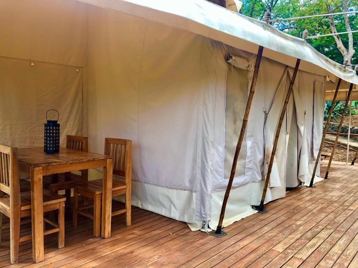 מלון San José Pinilla Hyla Nature Retreat מראה חיצוני תמונה