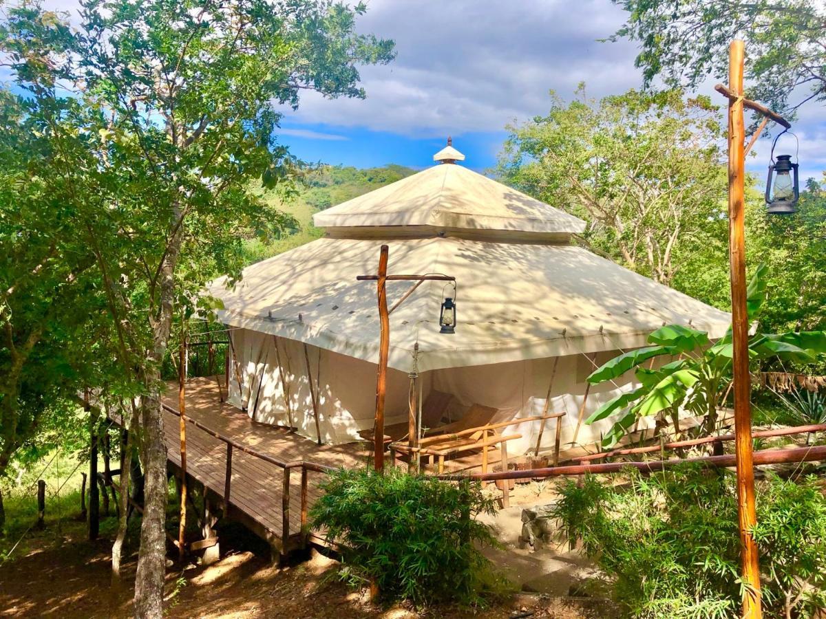 מלון San José Pinilla Hyla Nature Retreat מראה חיצוני תמונה