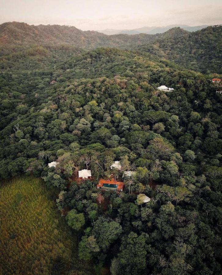מלון San José Pinilla Hyla Nature Retreat מראה חיצוני תמונה