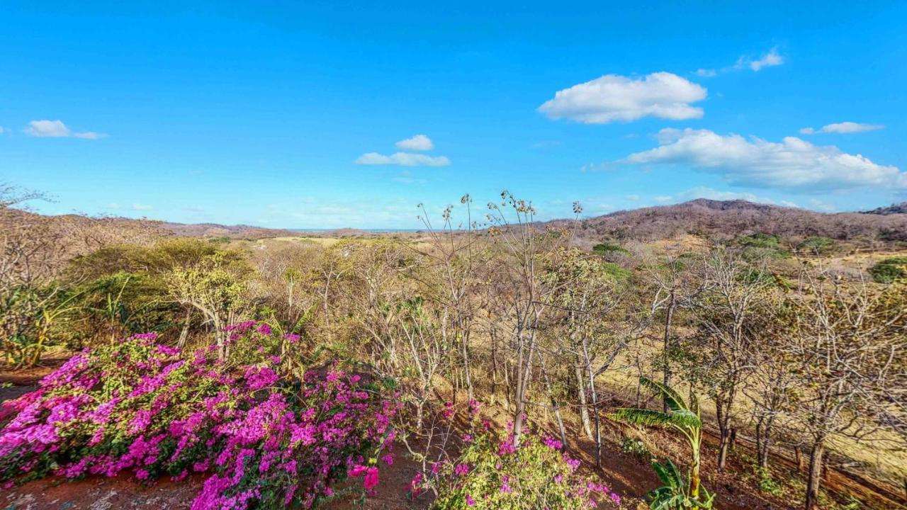 מלון San José Pinilla Hyla Nature Retreat מראה חיצוני תמונה