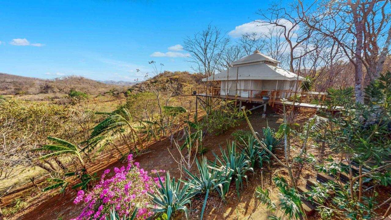 מלון San José Pinilla Hyla Nature Retreat מראה חיצוני תמונה